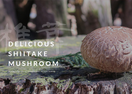 shiitakejapan.com